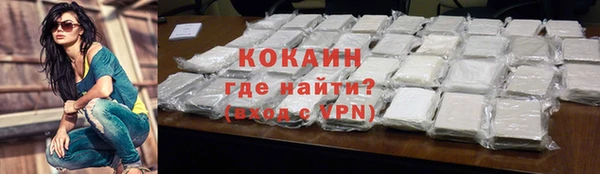 соль ск Козельск