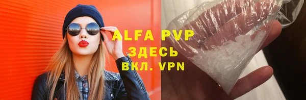 прущая мука Корсаков