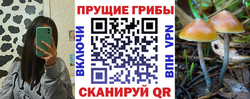 цены наркотик Мичуринск Псилоцибиновые грибы мицелий
