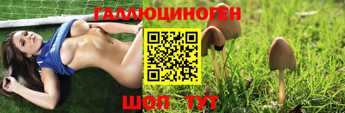 Мичуринск  Псилоцибиновые грибы GOLDEN TEACHER  Вход с VPN 