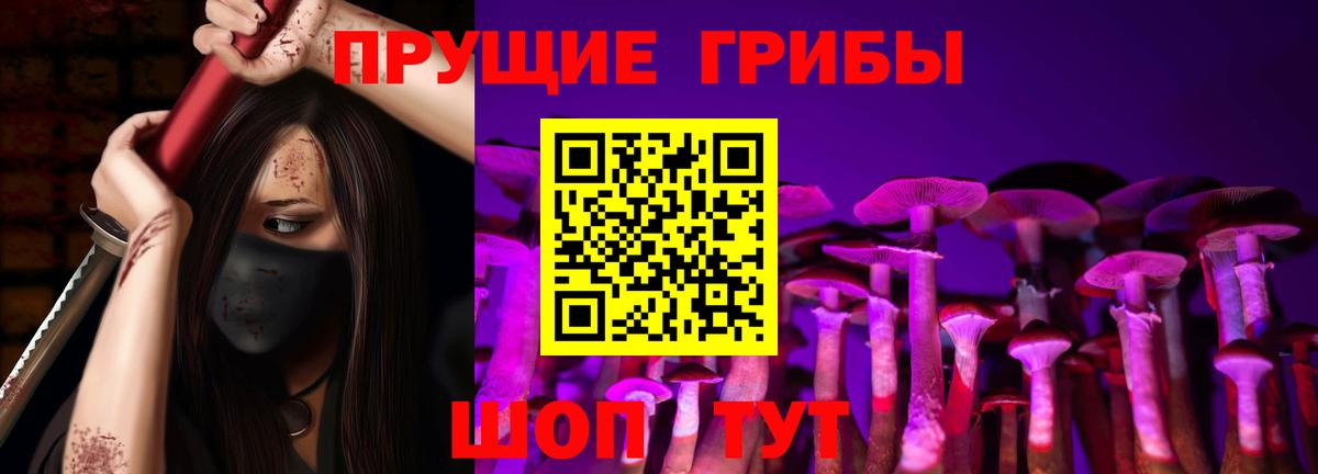 Галлюциногенные грибы Psilocybe Мичуринск